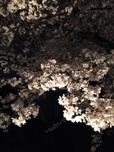 File 8-4-15 21 58 33