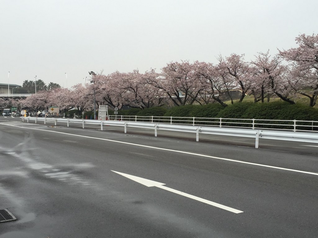 [2015京阪神奈名大冒險]　來名古屋逛街吧