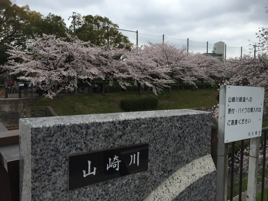 [2015京阪神奈名大冒險]　來名古屋賞櫻吧